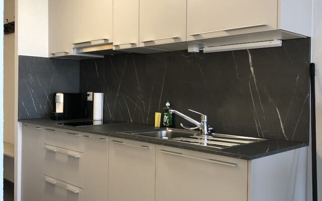 Amazing Studio In Lausanne Close To Epfl and Unil