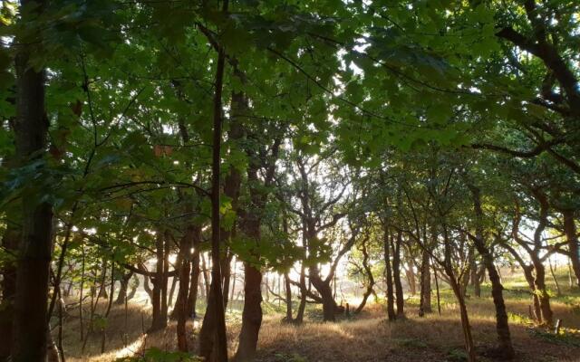 Studio aan Zee Oostkapelle