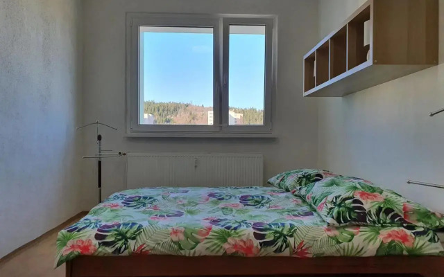 Pronájem Apartmánu V Tanvaldu