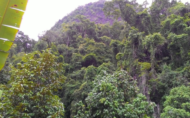 Khao Sok Silver Cliff Resort