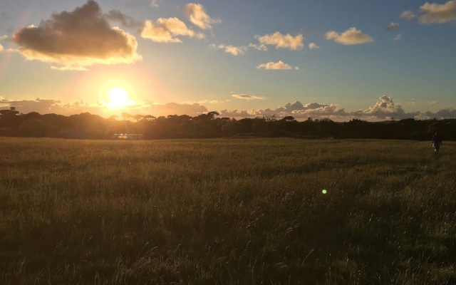 Glampotel Lizard Point