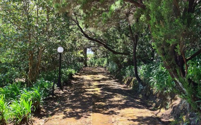 Quinta da Moscadinha