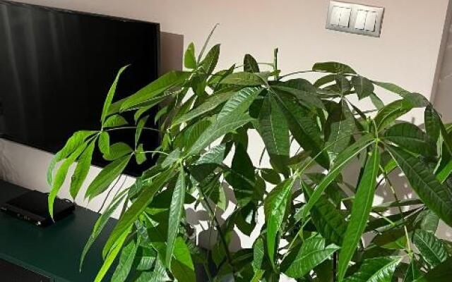 BlaBlaFlat Szczecin Ku Słońcu