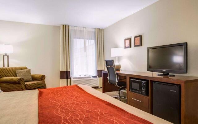 Comfort Inn & Suites Clemson - University Area