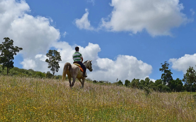 Pousada Convento de Arraiolos - Historic Hotel