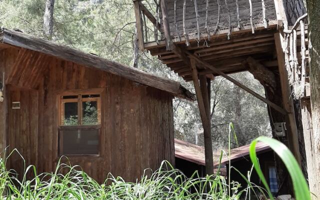 Altaris Bungalows Olympos