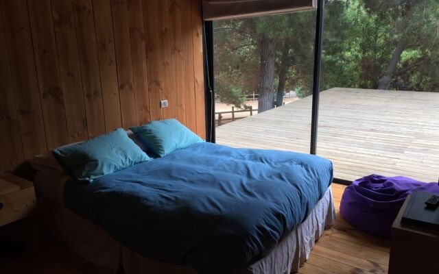 Surf Lodge Posada Punta de Lobos