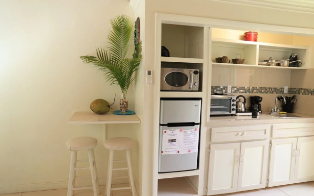 Coconut Palm Hideaway