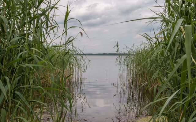 Natura-Familienpark Grimnitzsee Recreation Park