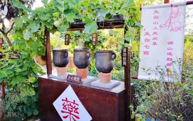 The Taibai Mountain Phoenix Spr Hotel