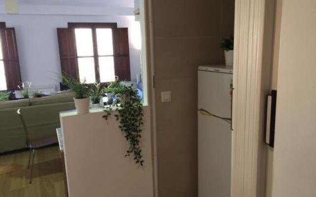 Apartamentos Viejo Continente