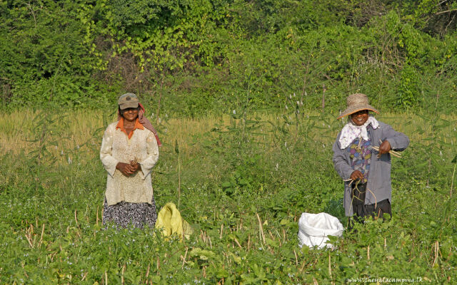 The Yala Camping