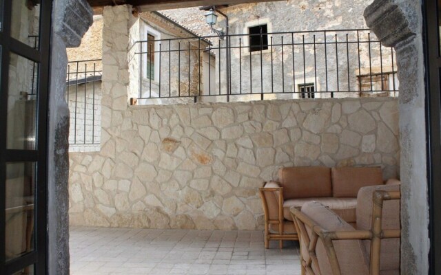 Cervo - Parco Nazionale d'Abruzzo