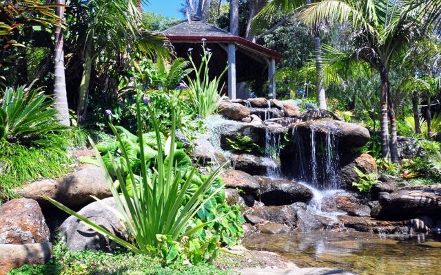 Sanctuary in the Cove