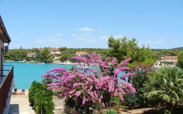 Sea Turtle Apartments