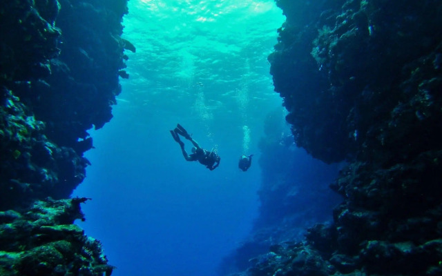 Mai Dive Astrolabe Reef Resort