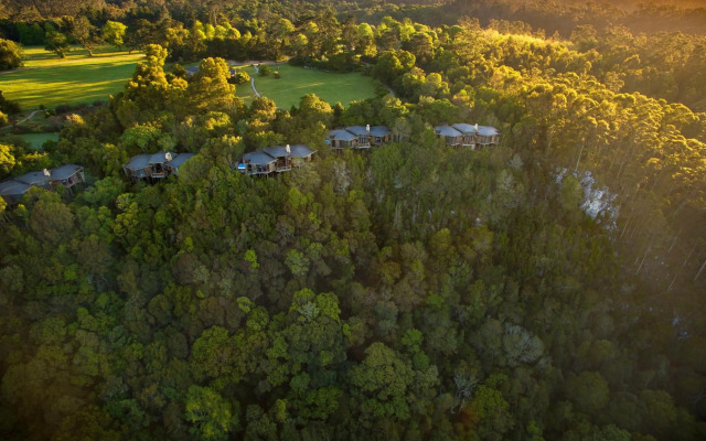 Tsala Treetop Lodge