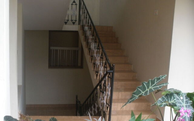 Jungle Palace Homestay