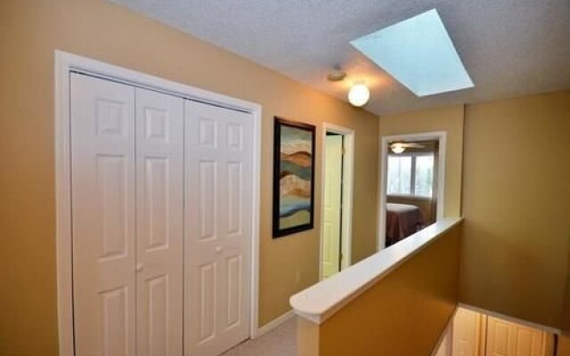 Dolphin Run by Blue Sun