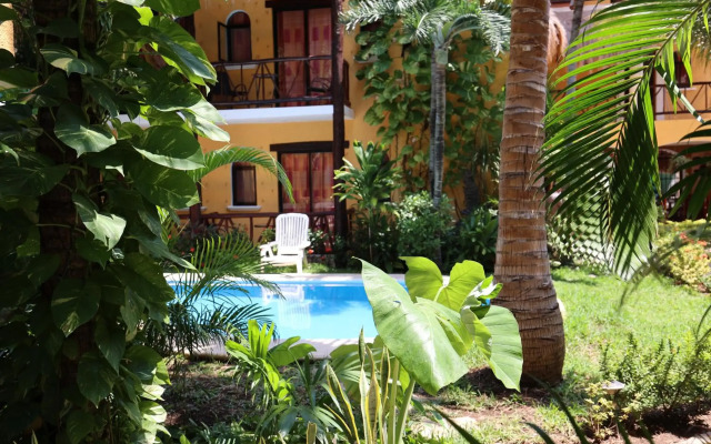 Hotel Bosque Caribe , 5th Av Zone