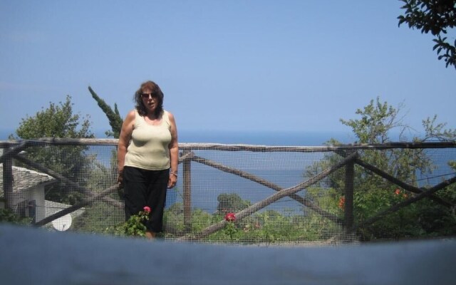 Villa Rena in Mouresi Seaview