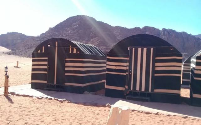 Wildlife Camp