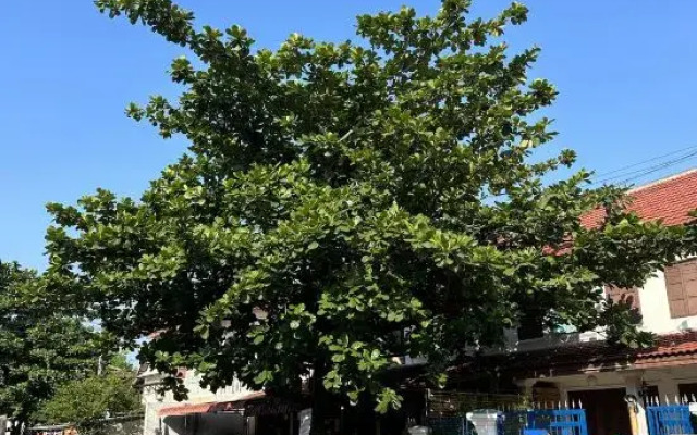 Villa Lakangthong2