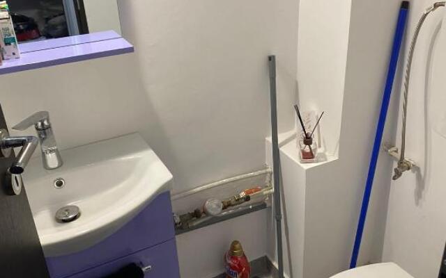 Alesandru apartament