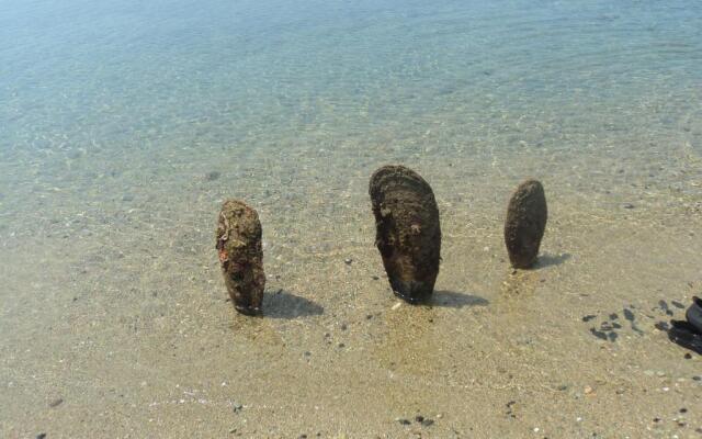 Chiona΄s Apartments by the Sea