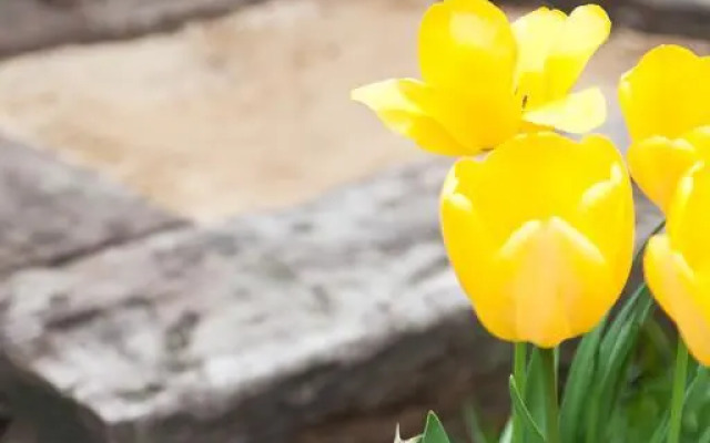 Ubytovanie Tibor Skarba