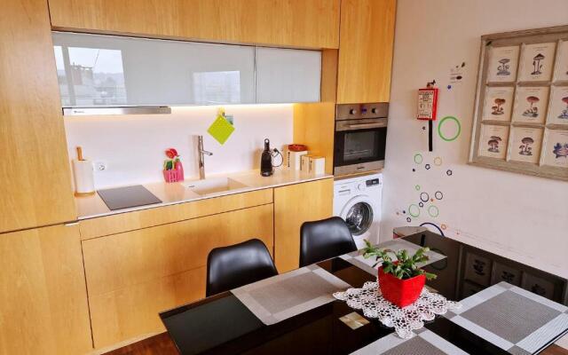 Unique Spacious Penthouse Downtown Porto-40m2 Terrace