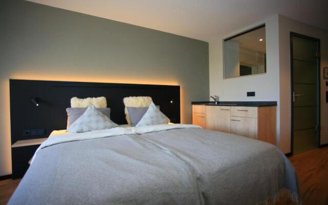 Alte Molke Apartment 11