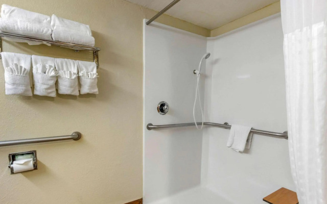 Comfort Inn St Petersburg North