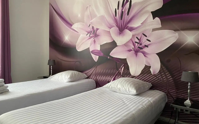 Appart du cirque centre historique