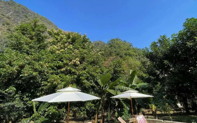 Khaosok Green Mountain View