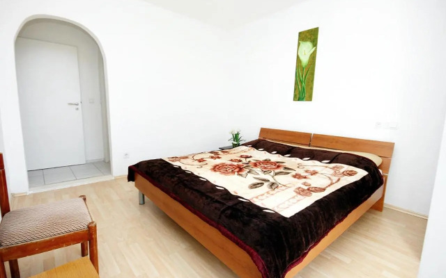 Apartment Drasnice 6051b