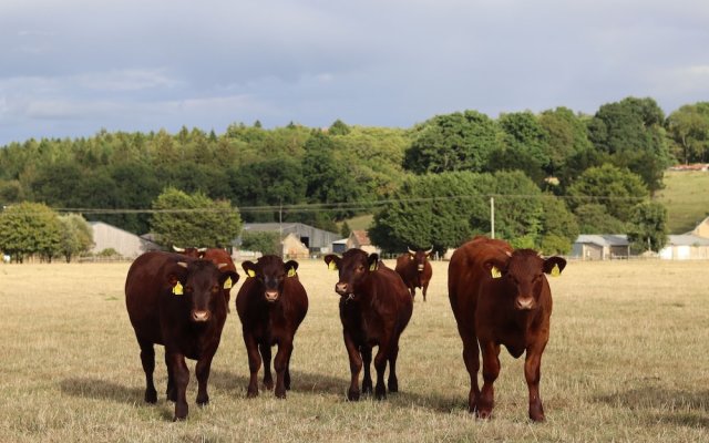 Oxen Cottage @ Nables Farm