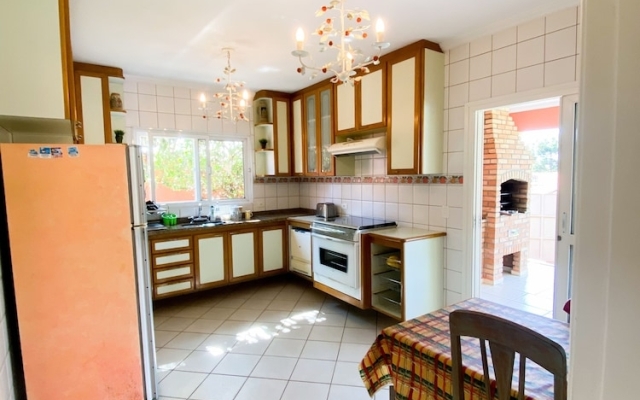 Paz e muito verde na Granja Viana