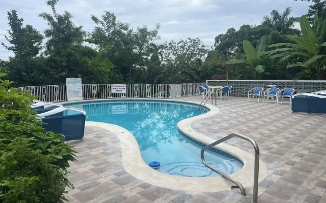Palm View Guesthouse and Conference Centre