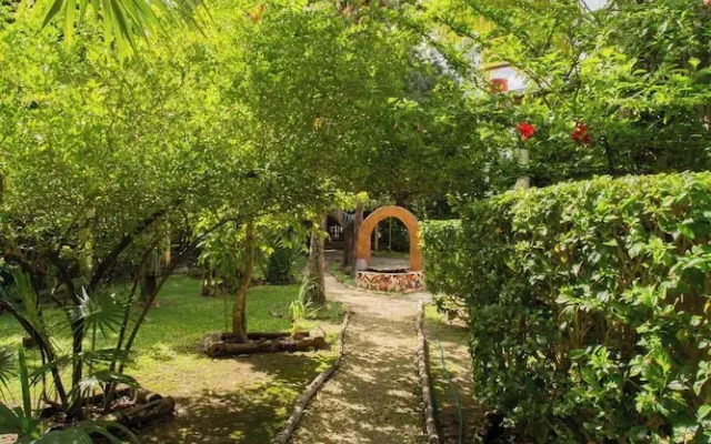 Mini Pini Birdwatching and Cenote Loft4 you Only