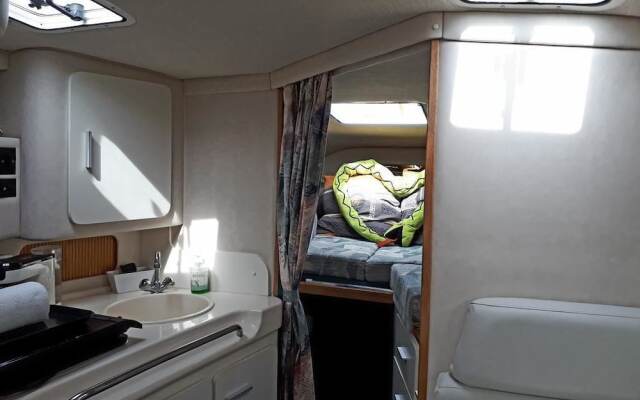 Boat Vedette Arlequin