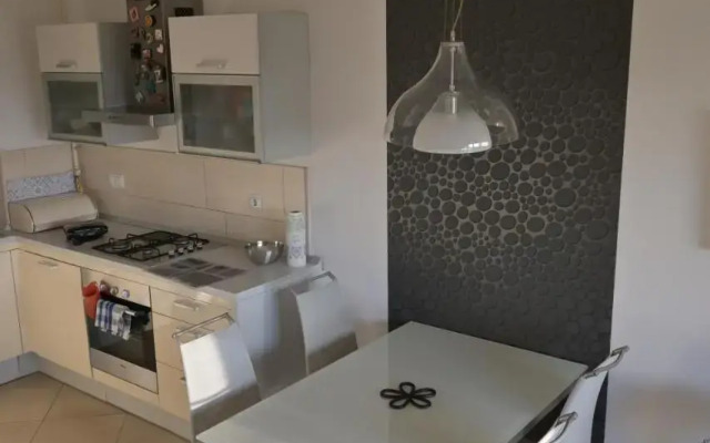 Lola suite