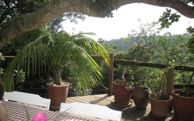 Utopia in Africa Guest Villa