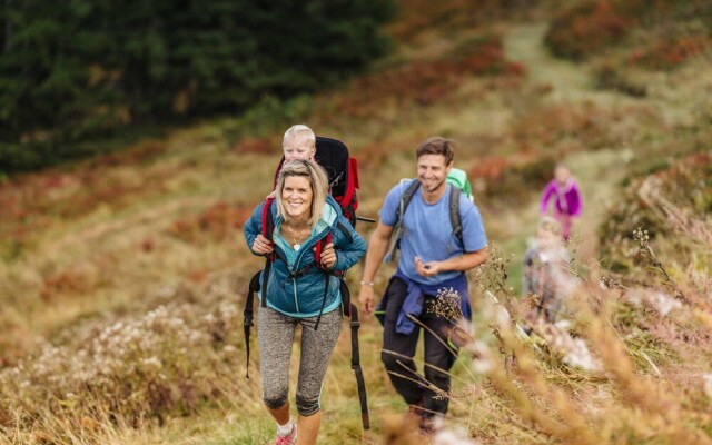 Hotel Appartement Hochkönig