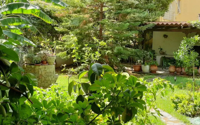 Lovely house