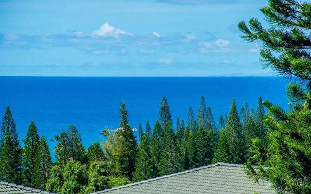 Kapalua Golf Villa #25T4