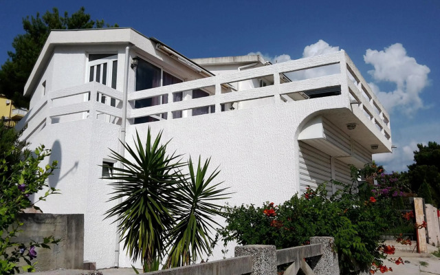 Apartment Zeleny Pojas