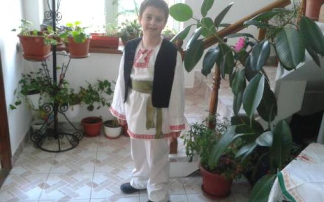 Pensiunea Nopti de Vara