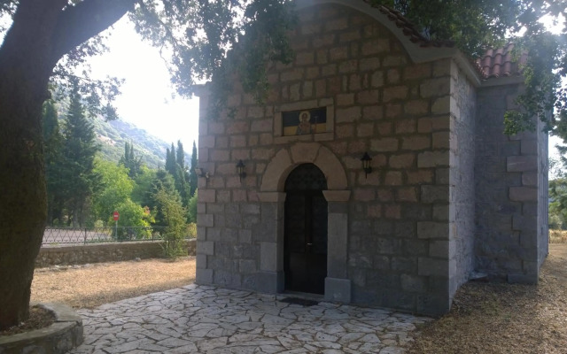 Hani Zemenou