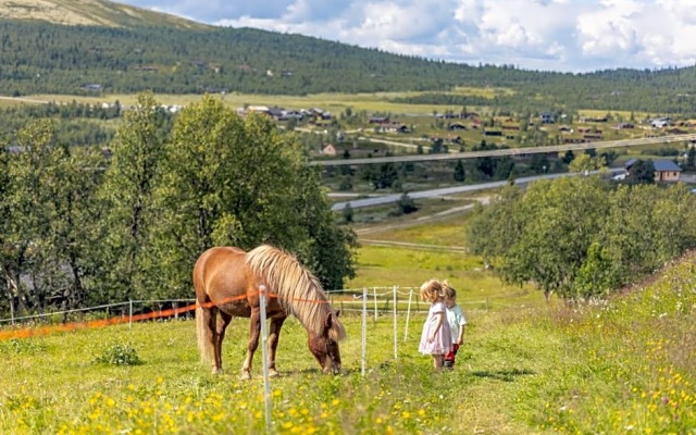 Venabu Fjellhotell